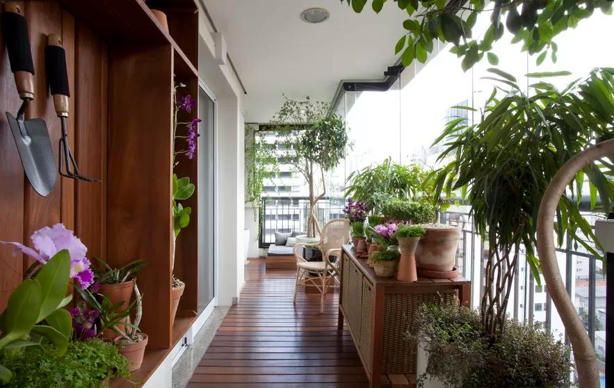decoracao de interiores mogi das cruzes:piso de cumaru, vasos de plantas, cadeiras de madeira, e lanternas da decoracao de interiores mogi das cruzes:piso de cumaru, vasos de plantas, cadeiras de madeira, e lanternas da