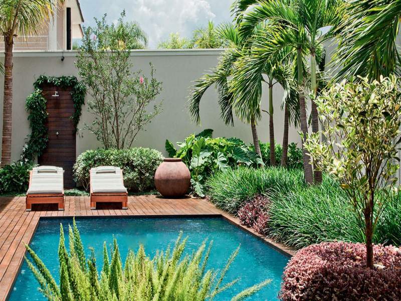 paisagismo neste quintal, a piscina  emoldurada por um paisagismo tropical