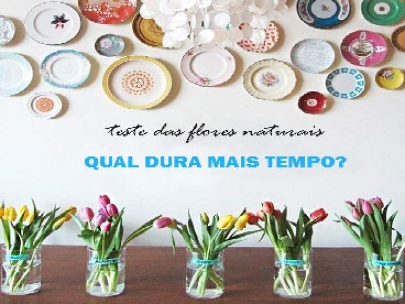 jardinagem a melhor maneira de fazer suas flores durarem mais tempo