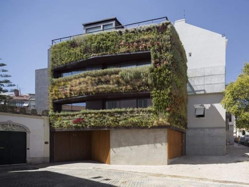 jardinagem 4.500 plantas cobrem casa em lisboa