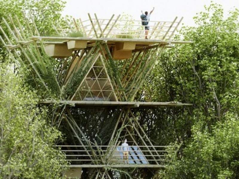 arquitetura hotel de bambu faz visitantes se sentirem como pssaros nas rvores