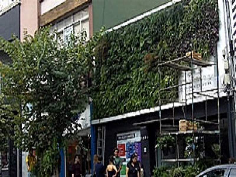 jardinagem grupo quer transformar são paulo com jardins verticais